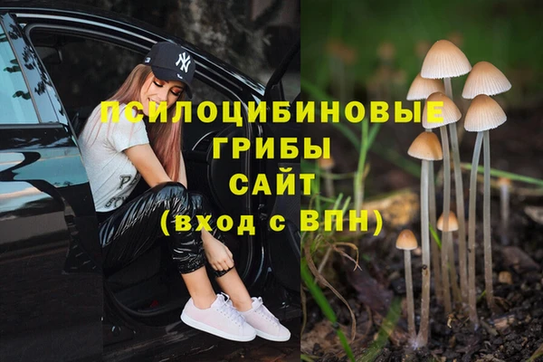 ALPHA PVP Алексин