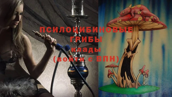 jwh Алзамай
