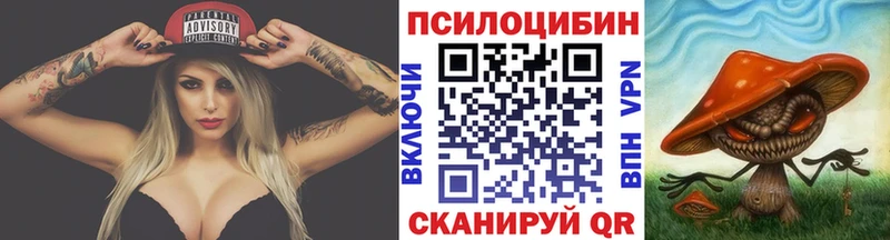 Псилоцибиновые грибы Psilocybe  закладка  omg зеркало  Лянтор 